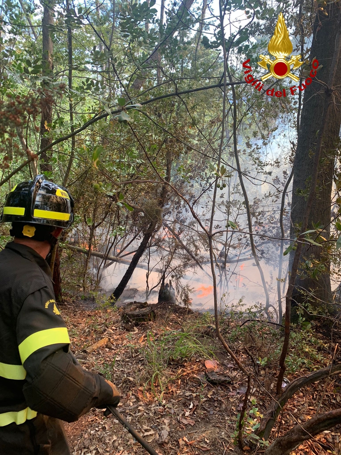 Incendio Di Bosco A Carignano Vigili Del Fuoco In Azione