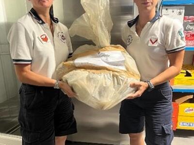 Posto sotto sequestro dalla Guardia Costiera 35 chili di prodotto ittico non tracciato