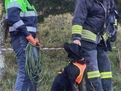 Premiate le unità cinofile di Anpana Lucca per attività svolta sulle emergenza di Molazzana e Camaiore