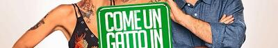 Alla Lucchese si dura come i gatti in tangenziale: dopo sei mesi esonerato, dopo essere stato confermato pochi giorni fa, Claudio Ferrarese