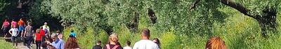 Porcari Corre, conto alla rovescia per la 39esima edizione: cinque percorsi tra le colline