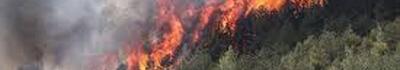 Camion a fuoco in autostrada, fiamme sulle colline di Massarosa e Bretella chiusa in entrambi i sensi di marcia