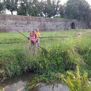 Cisom_Lucca_1