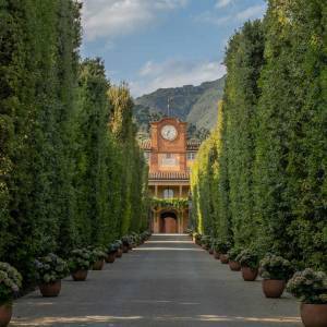 Viale Palazzina dell'Orologio_Villa Reale di Marlia_Foto di Giuseppe Panico