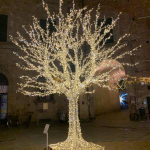 natale3
