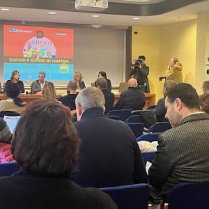 20241125-conferenza-stampa-Desco_1