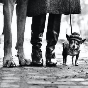 New_York_1974_Felix_Gladys_and_Rover-Elliott_ERWITT-b